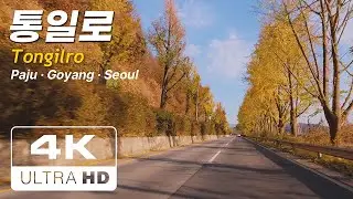 파주에서 서울역까지, 통일로를 달려봤습니다.| Driving Tongil-ro from Paju to Seoul Station