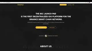 How To gain Access To New Crypto Coins Before The Public (BSCPAD)
