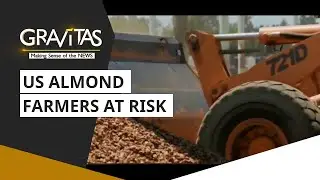 Gravitas: India's retaliatory tariffs on the US hurt almonds farmers in America