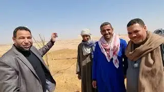 دشلوط وقصه نجاح عمي رجب بشركه الفلاح بااسيوط ٠١٠٠٨٧٩١٢٨٥
