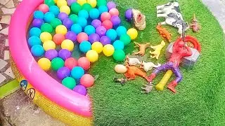 Membersihkan hewan kuda gajah anjing dinosaurus buaya sapi ayam spiderman palutor bebek minyet ular.