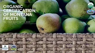 Organic Certification of Montana Fruits