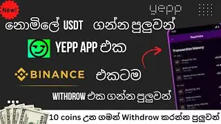 Yepp Meme & Meme Maker  App Review|New Earning App | Emoney sinhala @YasiSL