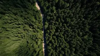 Aerial Shot Of Forest Road Stock Video