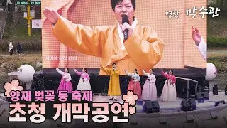 양재천 벚꽃 등 축제 개막공연 하이라이트 (서초뮤직페스티벌)