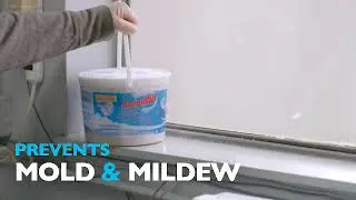 DampRid Moisture Absorber Prevents Mold & Mildew