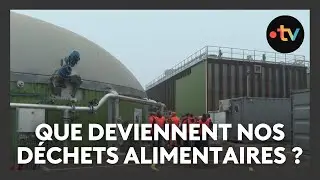 Que deviennent nos d&eacute;chets alimentaires ?