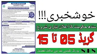 STS 05 to 15 Jobs Graduation Category 2025 | How to Apply ? Who is Eligible ? What is process !!