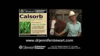 Dr Jennifer Stewart's CALSORB PART 2 OF 2