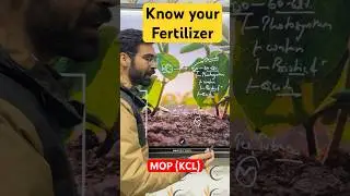 Potassium Chloride (KCL) : Key Facts for Agriculture #fertilizer #Potassium #plantnutrients