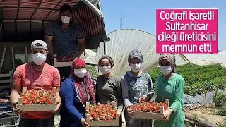COĞRAFİ İŞARETLİ SULTANHİSAR &Ccedil;İLEĞİ &Uuml;RETİCİSİNİ MEMNUN ETTİ