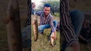 #shot video #viral fishspecies 🐠🐟 hindi videofishing video  # #village# trending video