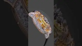 The Jacob & Co. Mystery Tourbillon Yellow Sapphires' #shorts