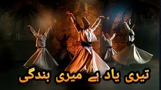 Teri Yaad Hai Meri Bandagi / تیری یاد ہے میری بندگی / Sufiyanakalam / Sufikalam