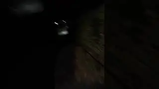 a walk in the dark