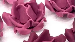 Large Dusky Mauve Roses