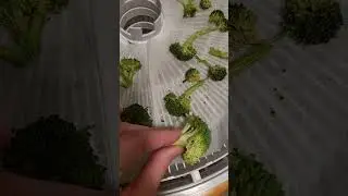 Dehydrating broccoli #dehydratedfood #backpacking #diy