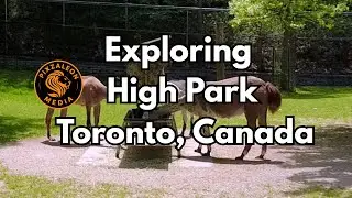 Visiting High Park In Toronto Canada