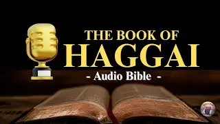 The Book of Haggai | Divine Echoes KJV Audio Bible #audiobible #biblelistening #scripture