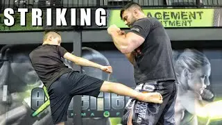 MMA Fundamentals | Striking Basics You Need To Know