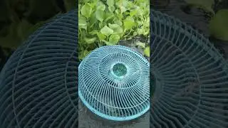 Fish Trap Using Plastic Fan Guard Basket #fish #fishingtrips #shorts