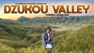 DZUKOU VALLEY full detailed TELUGU VLOG || Viswema,Nagaland @LIFEOFANIL016