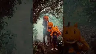 Pumpkin head trend 🎃🤍 #shorts #pumpkinhead #pumpkincarving #nokaoi