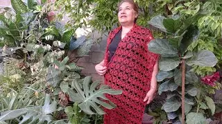 chal verano de una sola  pieza a crochet 🤎🌻🤎🌻