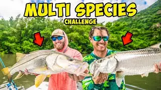 Рыболовное испытание на островах с несколькими видами рыб! (GRAND SLAM)