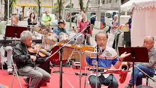 Nobody Knows You When You're Down and Out by 【神戸ガンボス】 @ 第23回 神戸新開地音楽祭 【 BIGMAN ステージ】