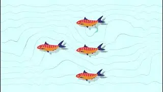 Fish Moving animation using puppet bend tool by Adobe After Effect 2024