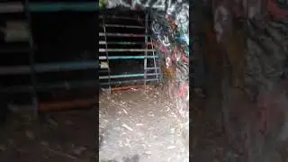 Finding and Exploring Ted Bundy's Cave