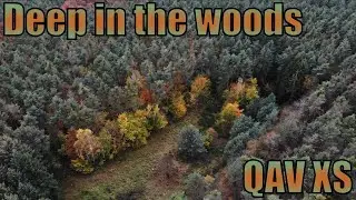 FPV deep in the woods | QAV XS stretch