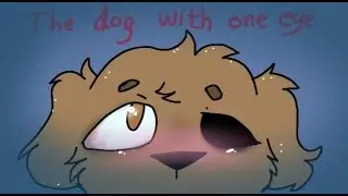 Dog with one eye-short animation