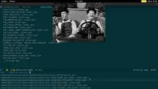 Emacs dired create audio and video playlists with mpv.el
