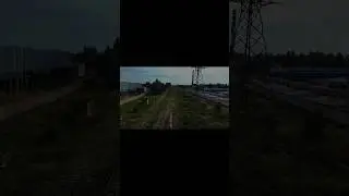 Не в бит... Жаль( #blog #nature #blogger #прикол #shorts #рекомендации #blog