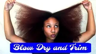 Heat Styling Natural Color Treated Hair | Blow Dry & Trim | Ft. Kiya Karimu