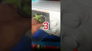 5 TIPS Agar Tanaman Sehat