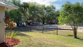 Florida noise