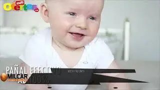 MILCAR SRL/ MULTIOFERTAS TV