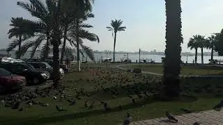 Who know this place