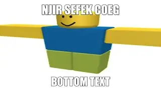 sefek coeg