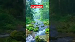 #Great-Waterfall #RelaxingSound #RelaxingMusic #RealisticNature