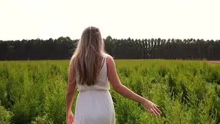Botanik Oils - Shampoo and Conditioner Bars From Nature