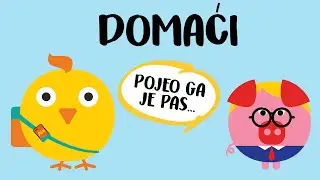 DOMAĆI - Pipi & Gudi Show #6