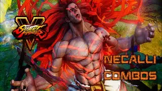SF5: NECALLI COMBOS