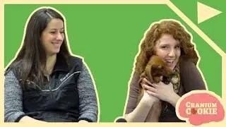 How to Train Your Puppy! | Cranium Cookie