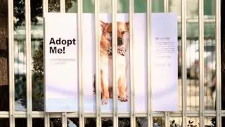 Adopt Me! NFC Poster Project