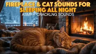 Relaxing Fireplace & Cat Ambience 🔥🐈 2 Hours | No Talking