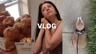VLOG | viviendo SOLA en Estados Unidos | Dollar Tree, La Farm Bakery, Raleigh, NC 🇺🇾🇺🇸